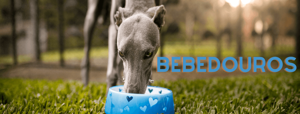 Bebedouros | PetDoctors - Loja Online