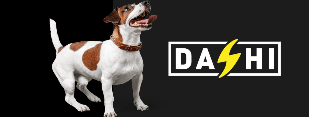 DASHI | PetDoctors - Loja Online