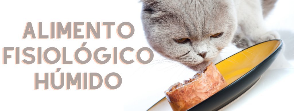 Para Gatos - Alimento Fisiológico - Alimento Húmido | PetDoctors - Loja Online
