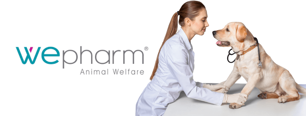 WePharm - Animal Welfare | PetDoctors - Loja Online
