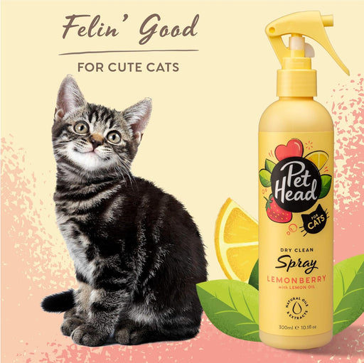 PET HEAD Felin Good Spray de higiene para gatos 300 ml, aroma de fruto. Shampoo que não requer lavagem e secagem rápida. Hipoalergénico com ingredientes naturais. Fórmula suave para gatos e gatinhos - PetDoctors - Loja Online