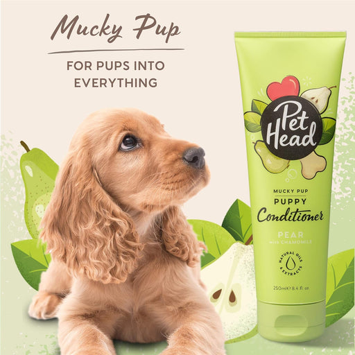 PET HEAD Mucky Puppy Condicionador para cachorros 250 ml, aroma de pêra. Hipoalergénico com ingredientes naturais. Fórmula suave para cães e cachorros com mais de 8 semanas de idade - PetDoctors - Loja Online