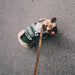 Blusão com Capuz para Cães (French Bulldog ou raças pequenas ou médias) - PetDoctors - Loja Online