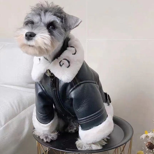 Blusão de Cabedal, tipo "Motociclista" com Pêlo no interior, para Cães Pequenos e Médios - PetDoctors - Loja Online