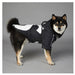 Blusão Impermeável de Luxo para Cães - PetDoctors - Loja Online