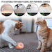 Bola / brinquedo com auto-movimento para gatos ou cães (carregamento USB) - PetDoctors - Loja Online