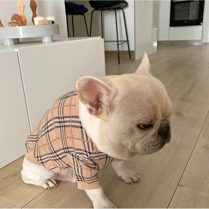 Camisola Designer de Luxo para Cães de Raças Pequenas ou Médias - PetDoctors - Loja Online