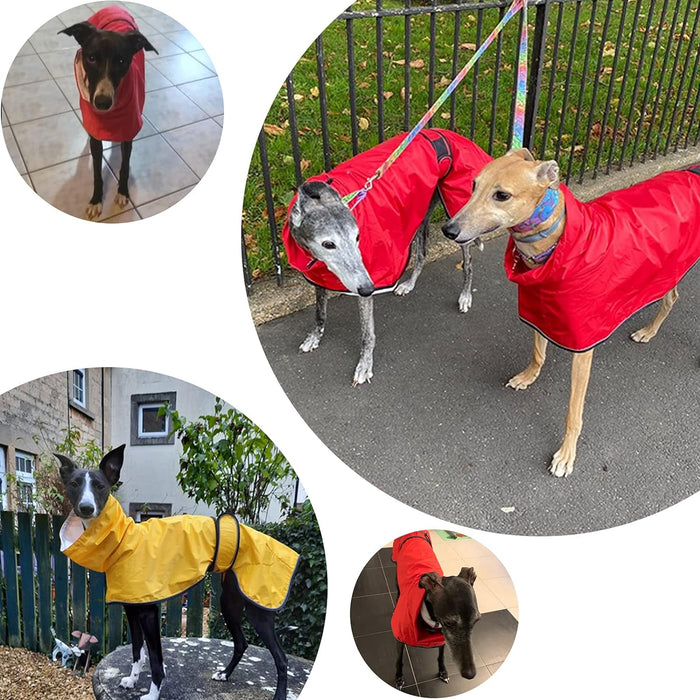 Capa de chuva leve para cães, com correias refletoras e orifício para arnês, ideal para Lurcher e Whippet - PetDoctors - Loja Online