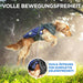 Casaco / Blusão de Outono / Inverno para cães pequenos e médios [quente e resistente à água] - Inclui arnês - PetDoctors - Loja Online