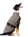 Casaco para cães, médios e grandes, quente, confortável, com trela traseira ajustável - PetDoctors - Loja Online