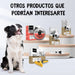 Champô cães e gatos anti-comichões. com óleo de côco e aloé vera (500 ml) - gel hidratante de banho com lavanda, camomila, aveia - PetDoctors - Loja Online