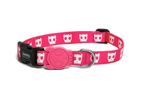 Coleira Pink Skull Zee.Dog (Cão) - PetDoctors - Loja Online