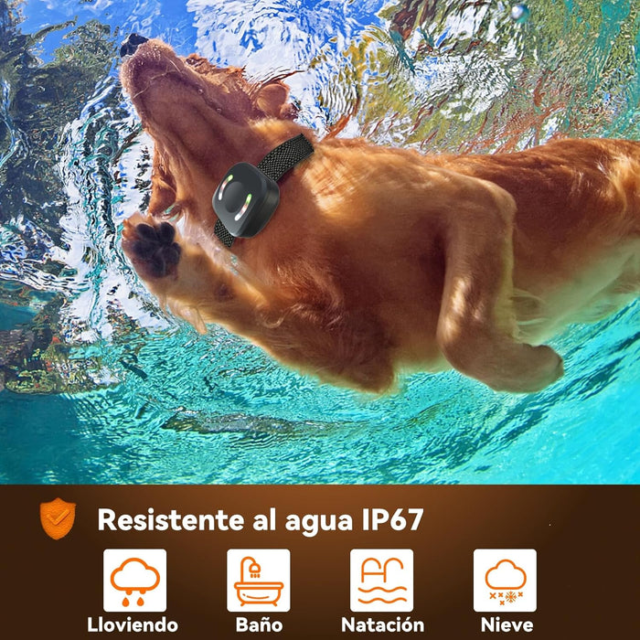 Coleira treino cães, alcance remoto de 2500 m com bloqueio de segurança, 4 modos de treino luz LED/som/vibração/forte vibração, resistente à água e recarregável - PetDoctors - Loja Online