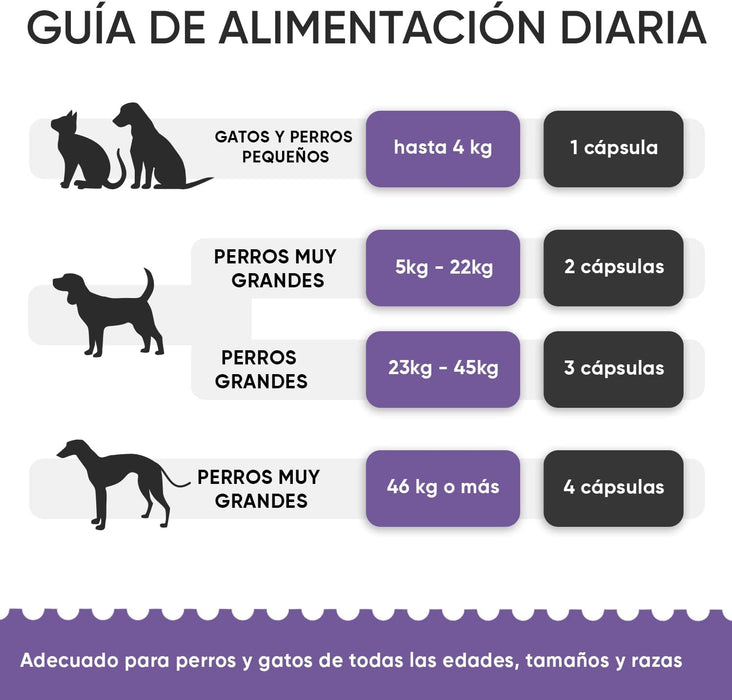 Condroprotetor e anti-inflamatório para cães e gatos, 120 cápsulas, com glucosamina condroitina, MSM, ácido hialurónico, canela e açafrão, para raças grandes e pequenas, articulações e anca - PetDoctors - Loja Online