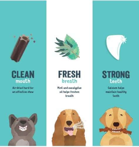 Edgard & Cooper Dental Stick para cães de Raças médias - 56 barras para a higiene oral - prémios naturais sem cereais - 7 Sticks x 8 embalagens - Eucalipto e maçã, higiene oral, baixo em calorias, hálito fresco - PetDoctors - Loja Online