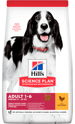 Hills Science Plan Medium Adult Dog with Chicken - PetDoctors - Loja Online