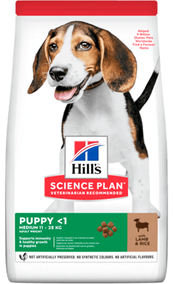 Hills Science Plan Medium Puppy with Lamb & Rice - PetDoctors - Loja Online