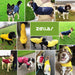 Impermeável para cães médios e grandes com capuz e gola, tiras refletoras de segurança, tecido ultraleve, respirável - PetDoctors - Loja Online
