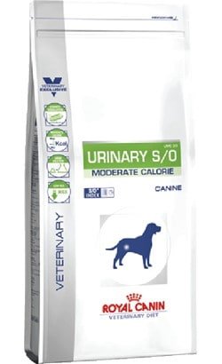 Royal Canin Urinary S/O Moderate Calorie (6,5 Kg) - PetDoctors - Loja Online