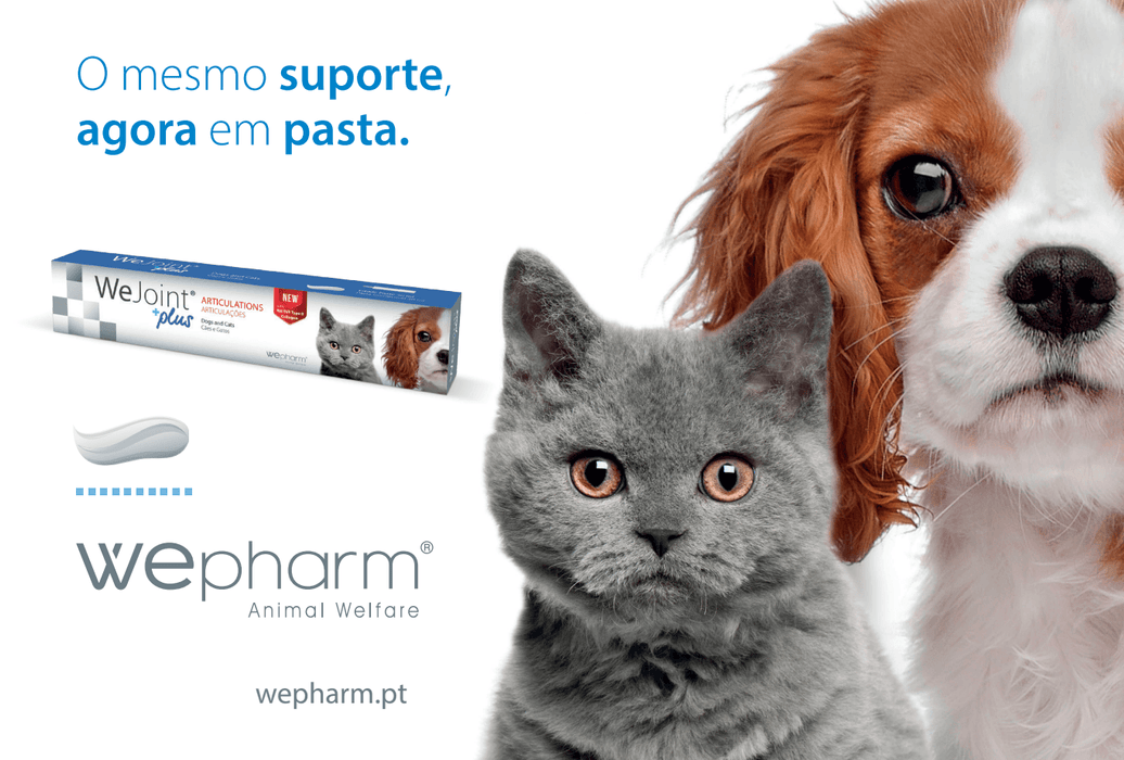 WeJoint Plus Pasta - PetDoctors - Loja Online