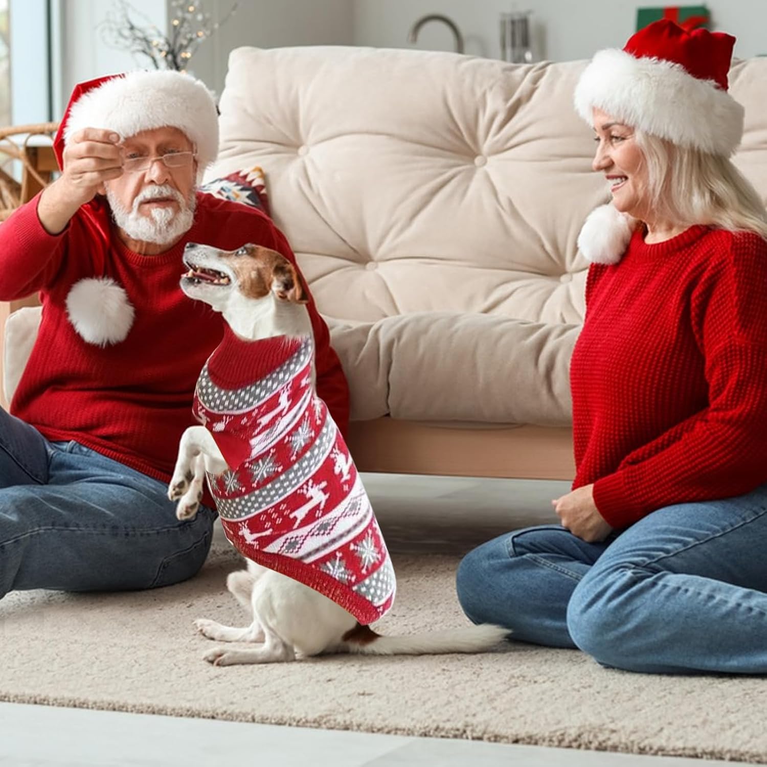 🎄 Os Melhores Presentes de Natal para Cães em 2025 - PetDoctors - Loja Online