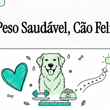 Video: Amor Saudável - Guia de Peso para o seu Cão - PetDoctors - Loja Online