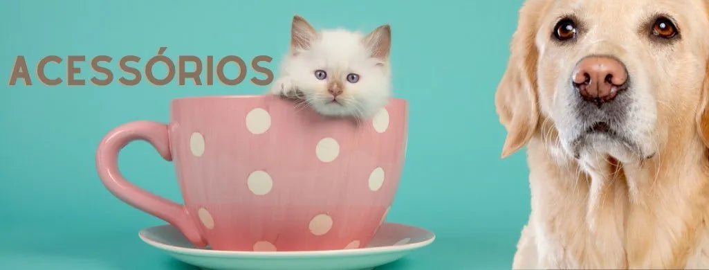 Acessórios - PetDoctors - Loja Online