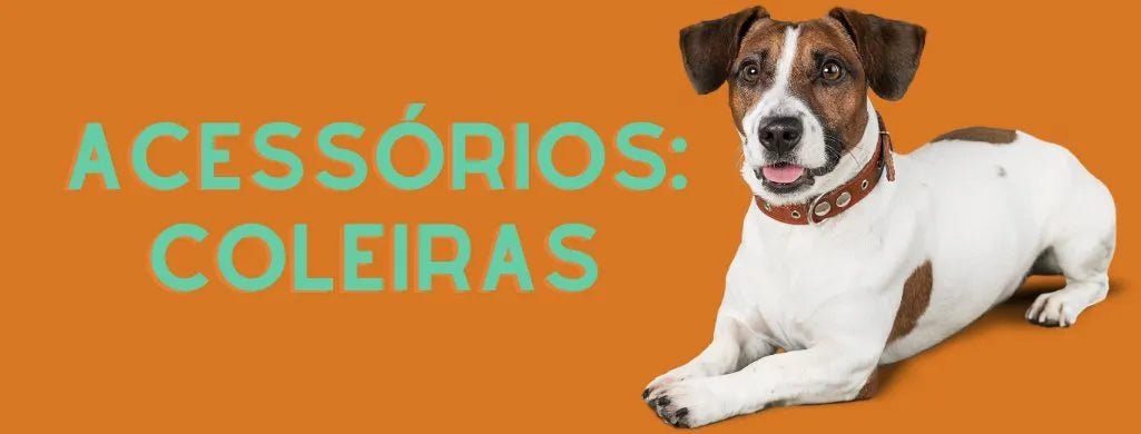 Acessórios - Coleiras - PetDoctors - Loja Online