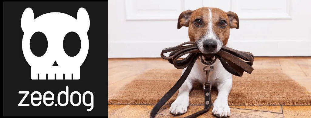Acessórios - Coleiras - Zee.Dog - PetDoctors - Loja Online