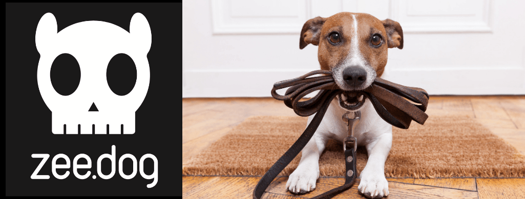 Acessórios - Coleiras - Zee.Dog | PetDoctors - Loja Online