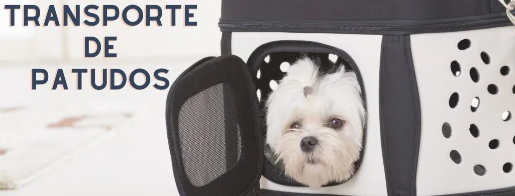 Acessórios - Transporte de Patudos - PetDoctors - Loja Online