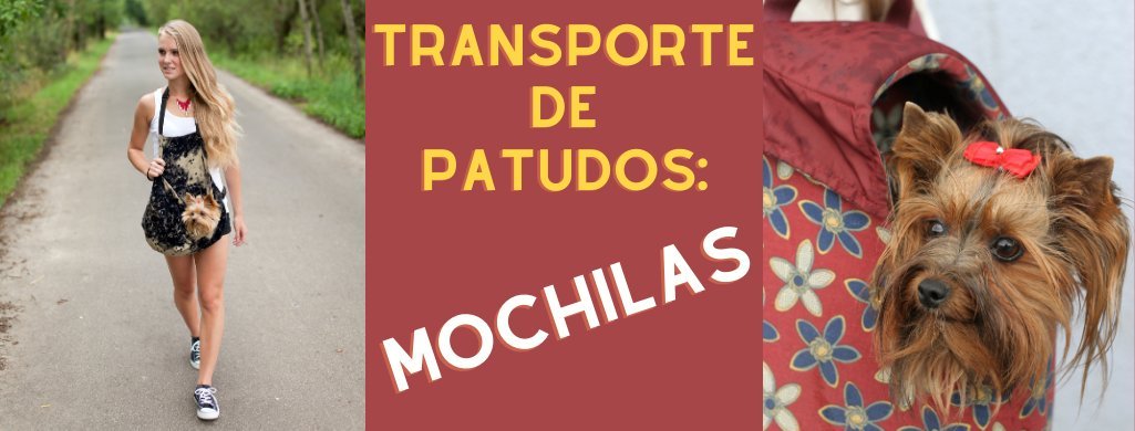 Acessórios - Transporte de Patudos - Mochilas | PetDoctors - Loja Online