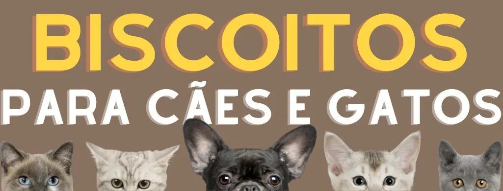 Alimentação - Biscoitos - PetDoctors - Loja Online