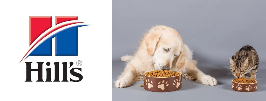 Alimentação - HILLS - PetDoctors - Loja Online