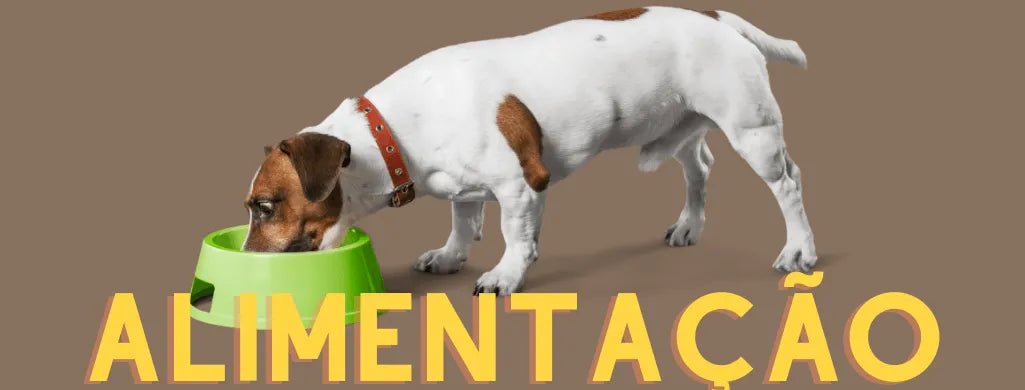 Alimentação para Cão - PetDoctors - Loja Online