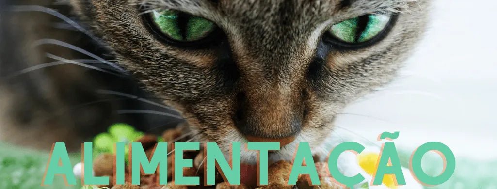 Alimentação para Gato - PetDoctors - Loja Online