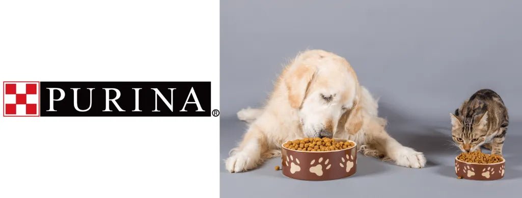 Alimentação - PURINA - PetDoctors - Loja Online