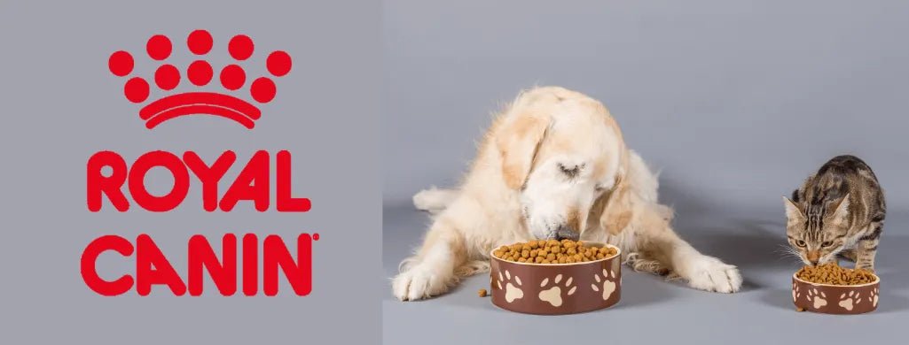 Alimentação - ROYAL CANIN - PetDoctors - Loja Online