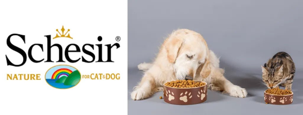 Alimentação - SCHESIR - PetDoctors - Loja Online