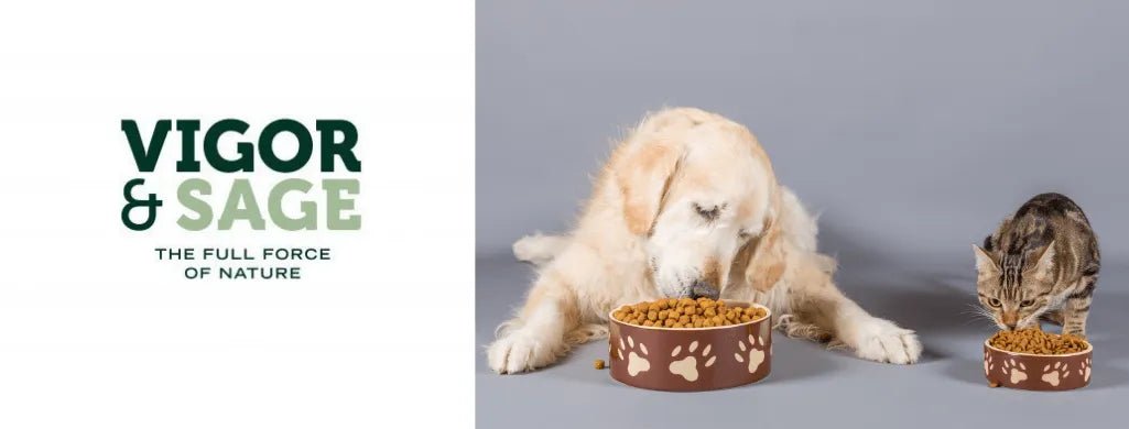 Alimentação - VIGOR&SAGE - PetDoctors - Loja Online