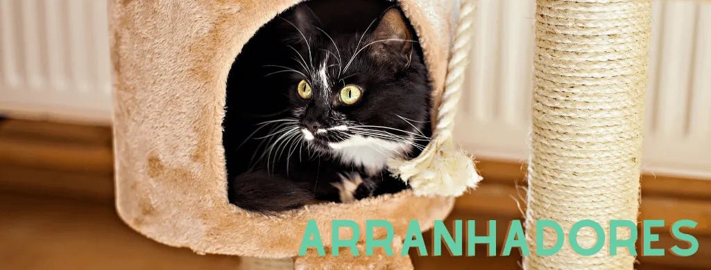Arranhadores - PetDoctors - Loja Online