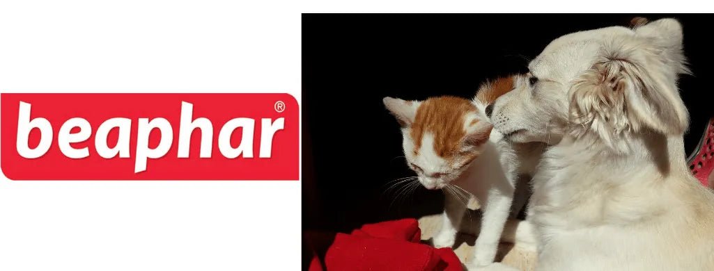 Beaphar - PetDoctors - Loja Online