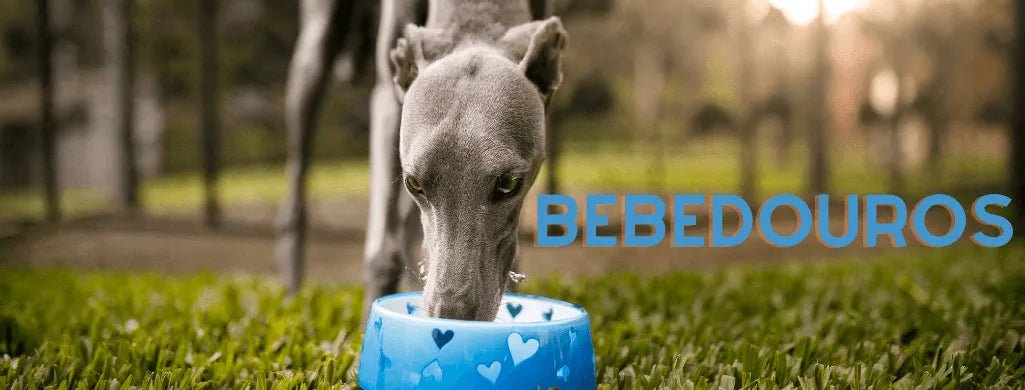 Bebedouros - PetDoctors - Loja Online