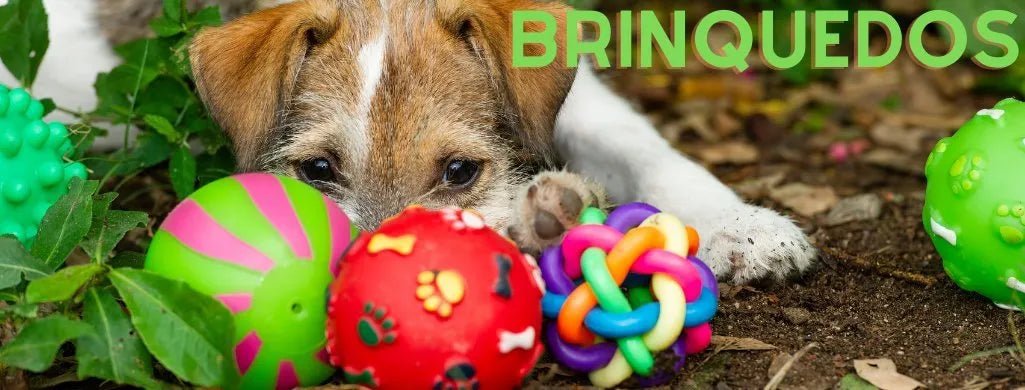 Brinquedos - PetDoctors - Loja Online