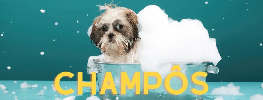 Champô - PetDoctors - Loja Online