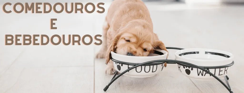 Comedouros e Bebedouros - PetDoctors - Loja Online