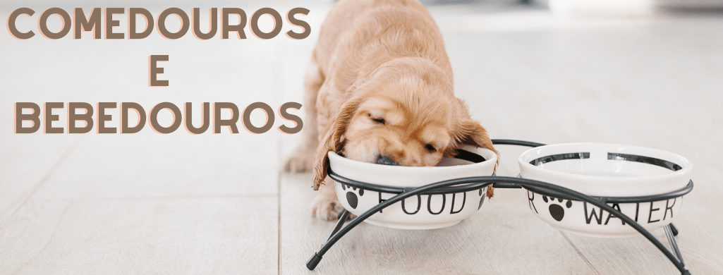 Comedouros e Bebedouros | PetDoctors - Loja Online