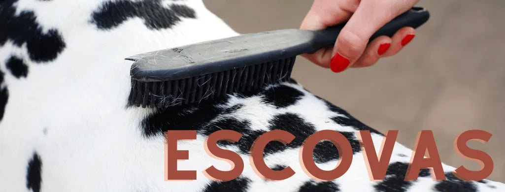 Escovas - PetDoctors - Loja Online