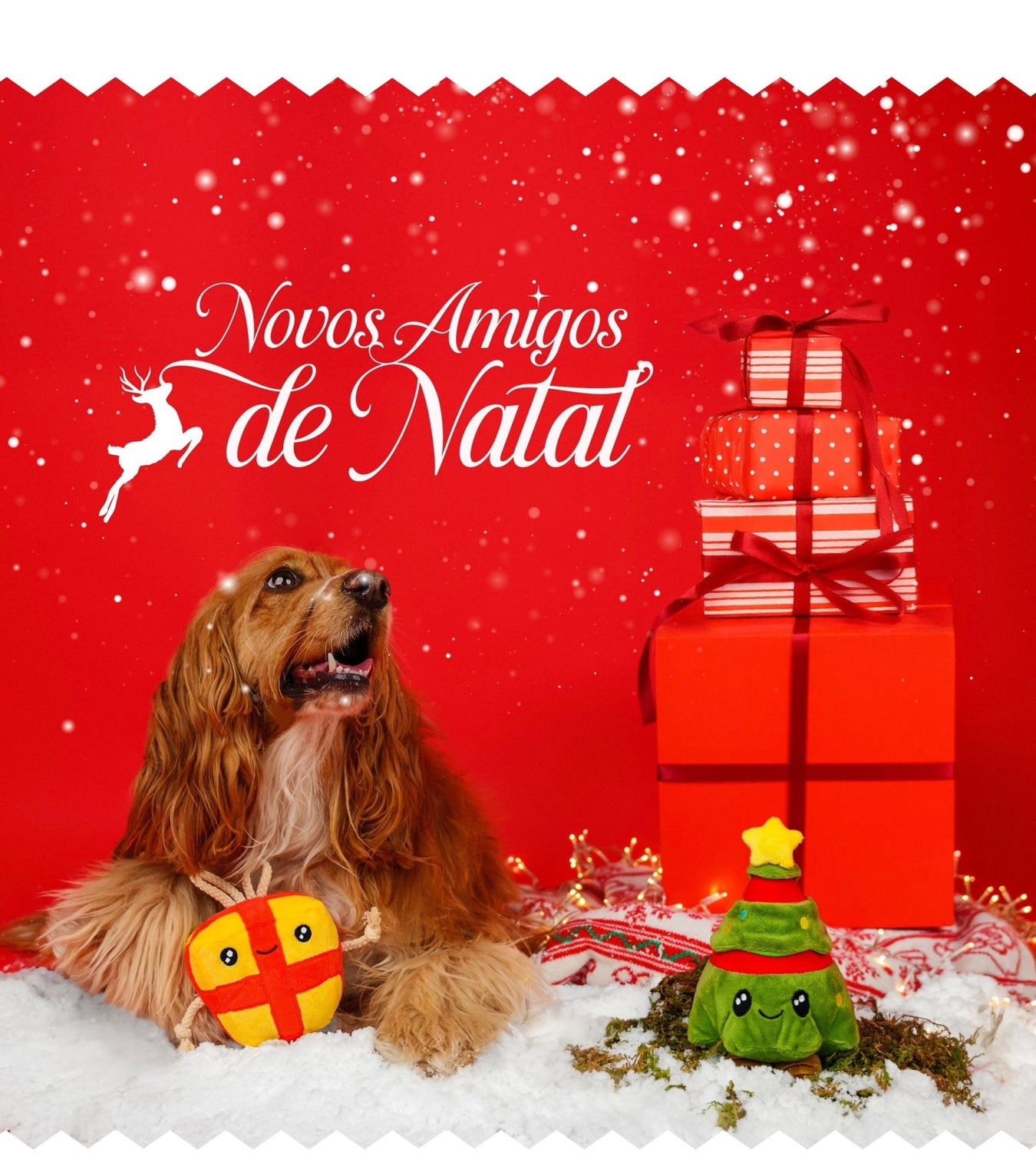 Natal - PetDoctors - Loja Online
