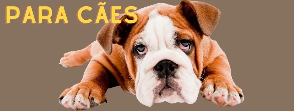 Para Cães - PetDoctors - Loja Online